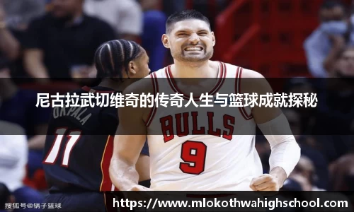 尼古拉武切维奇的传奇人生与篮球成就探秘