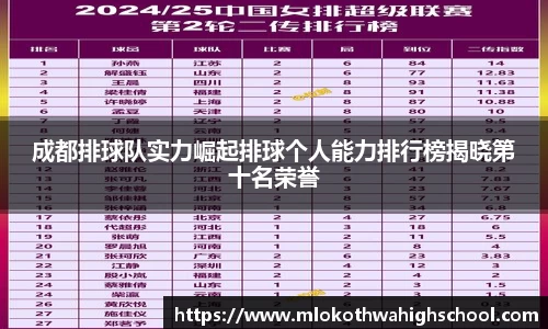 成都排球队实力崛起排球个人能力排行榜揭晓第十名荣誉