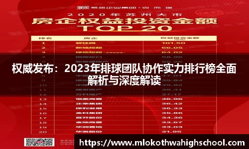 权威发布：2023年排球团队协作实力排行榜全面解析与深度解读