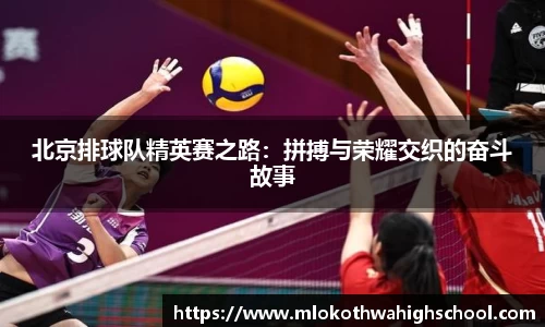 北京排球队精英赛之路：拼搏与荣耀交织的奋斗故事